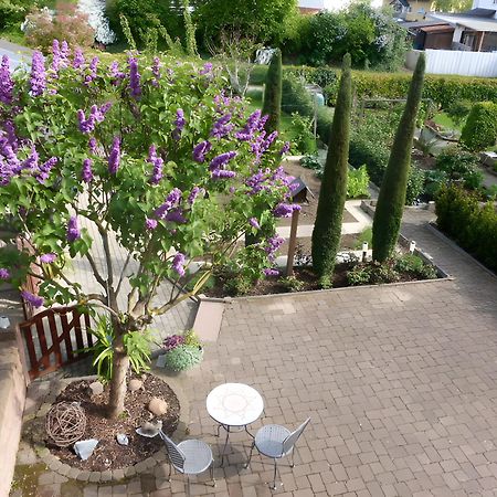 Ferienwohnung Schillinger Sasbach am Kaiserstuhl Exteriör bild