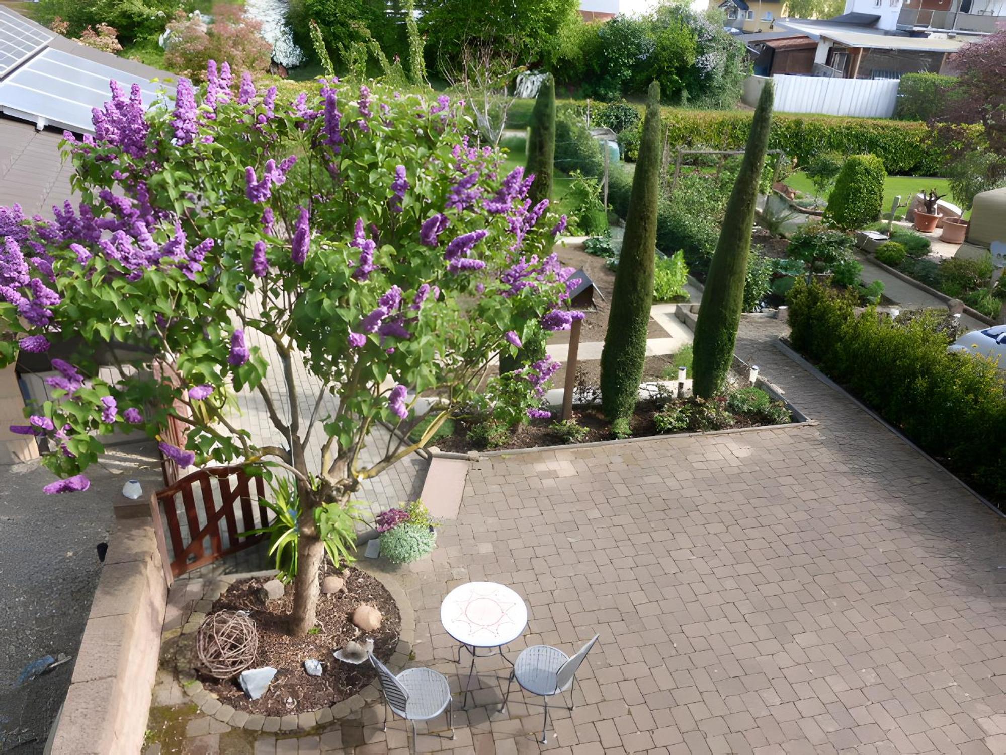 Ferienwohnung Schillinger Sasbach am Kaiserstuhl Exteriör bild